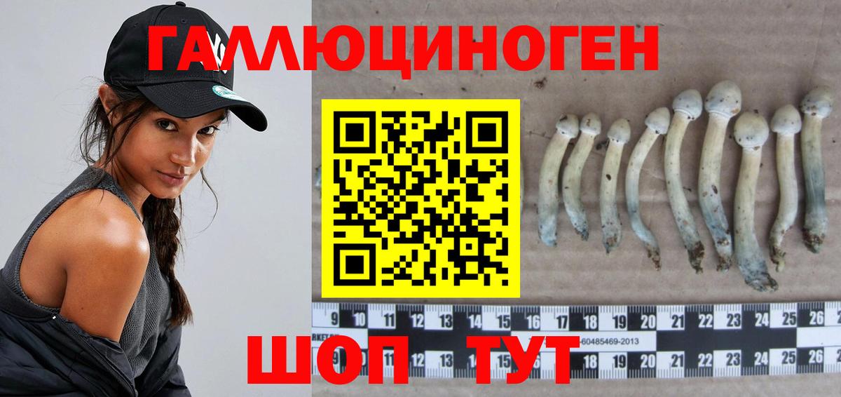 Псилоцибиновые грибы ЛСД  Вход с VPN  купить наркотик  Скопин  Псилоцибиновые грибы Psilocybe 